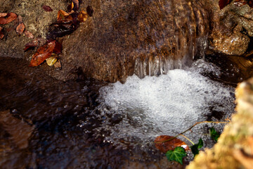 Wall Mural - A small mountain stream flows over the stone.