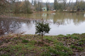 A closeup view of the branches of the trees and the dirty lake on a gloomy fall day