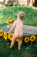 Naked Little Boy Taking A Bath In The Backyard