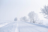 Fototapeta  - Winter rural landscape, road covered with snow and trees covered with frost, misty cold morning