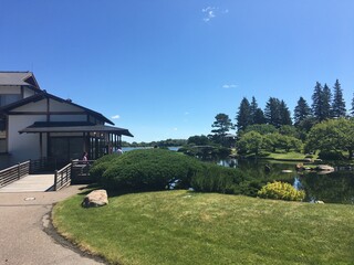 Japanese garden