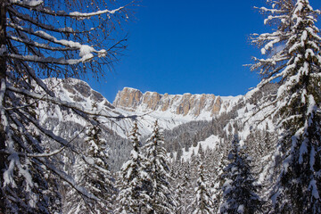 Wall Mural - Winter landscape of the Italian mountains. Visit the Dolomites in winter. View of Monte Lastoni di Formin covered with fresh snow and surrounded by trees. Staulanza Pass, Italy.