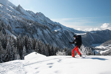 Wall Mural - Splitboarding in the valley with trees, Aravis, French Alps