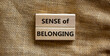 Sense of belonging symbol. Wooden blocks with words 'sense of belonging' on beautiful canvas background. Business, sense of belonging concept. Copy space.