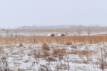 Sticker - Snowy Hay Field