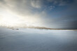 Frozen Baltic sea shore at sunset, snow texture close-up. Dramatic sky. Picturesque winter scenery. Seasons, nature, ecology, environment, climate change, global warming. Panorama, copy space