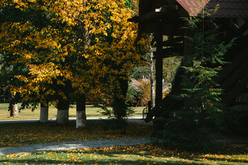 autumn in the park