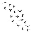 © desertsands - Set of seagulls birds, nautical sailor tattoo sketch. Black stroke of flying sea gull silhouettes on white background. Marine set. Drawings of different shapes of water birds in the flock. Vector.
