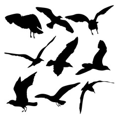 Sticker - Silhouette of flying seagulls birds on white background. Inspirational sail body flash tattoo ink of sea gulls. Vector.