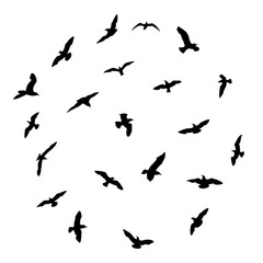 Wall Mural - Silhouette set of flying seagulls birds on white background. Inspirational body flash tattoo ink of sea birds. Vector.