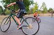 © Cavan Images - Brothers riding bicycles on road against trees in park