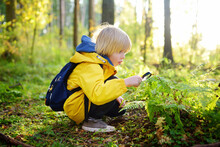 Preschooler Boy Is Exploring Nature With Magnifying Glass. Little Child Is Looking On Leaf Of Fern With Magnifier. Summer Vacation For Inquisitive Kids In Forest. Hiking.