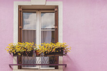 Window On A Purple Wall Decorated With Yellow Flowers In Paris, France