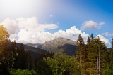 Fototapeta Na ścianę - Beautiful view of mountain peaks.Mountains in summer.