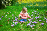 Fototapeta Dmuchawce - Cute little girl playing egg hunt on Easter
