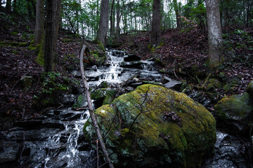 waterfall in the forest