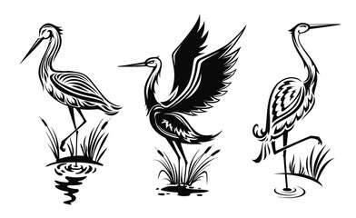 Wall Mural - Heron or wader birds vector icons, black hern silhouettes stand in swamp water with reeds. Egrets with ornate body wading in marsh side view, tattoo design emblems isolated on white background set