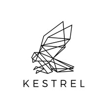 Kestrel Bird Geometric Outline Polygonal Logo Vector Icon Illustration