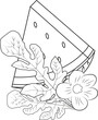 Coloring pages. Fruits, plants, flowers, leaves, trees, berries, beautiful women. Coloring for adults. Anti-stress coloring. Floral, tropical, nature themes to color.