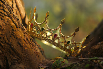 Wall Mural - Beautiful golden crown near wood outdoors, closeup. Fantasy item
