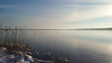 Wall Mural - Sunset at the Cospudener Lake in winter