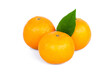 Fresh Oranges isolated on white background.