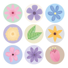 Sticker - bundle of nine flowers spring season icons vector illustration design