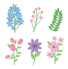 Sticker - bundle of flowers and leafs spring season icons vector illustration design