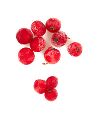 Wall Mural - red currants isolated on white background