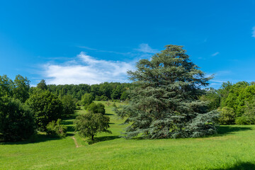 Wall Mural - Landscape with the park at Hungerberg in Baden-Baden