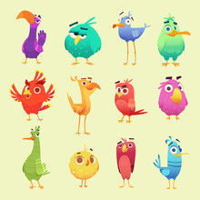 Cute Cartoon Birds. Funny Circle Owls Cheerful Animals With Emoticons Exact Vector Characters. Owl Bird Expression, Emoji Eagle-owl, Cheerful Mascot Illustration