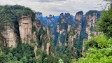 Fototapeta Desenie - The sandstone pillars. Mountains in the national park Wulingyuan. Trees on rocks. Zhangjiajie. UNESCO World Heritage Site. China. Asia