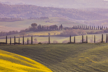 Wall Mural - Yellow flowers tuscan village