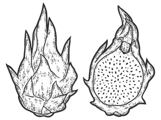 Sticker - Set pitaya. Whole and cut fruit. Sketch scratch board imitation.