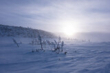 Fototapeta Sypialnia - Siberian view, winter morning