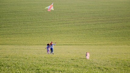 Wall Mural - Beautiful friends and cute dog flying kite on spring field