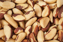 Brazil Nuts Closeup Background, Top View  