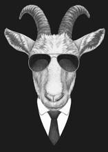 Portrait Of Goat In Suit And Sunglasses. Bodyguard. Hand-drawn Illustration. 