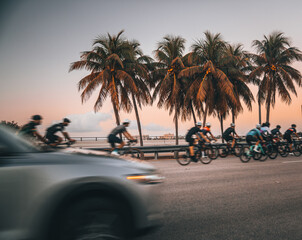 Wall Mural - road car traffic bicycle cyclists palms trees sky sunrise 