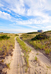 Poster - Road into the Cape Cod National Seashore