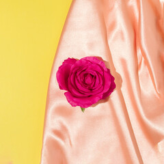 Bright magenta colored rose with coral satin silk on bold yellow background. Minimal aesthetic layout. Romantic creative idea. Spring or summer fashion concept with bloom.