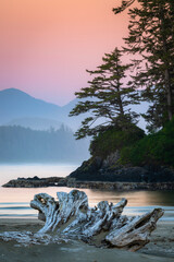 Sticker - Canada, British Columbia, Tofino. Schooner Cove sunset.