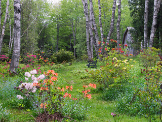Wall Mural - Canada, New Brunswick. Scenic of forest and garden.