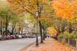 Canada, Central New Brunswick, Fredericton. Queen Street in autumn.