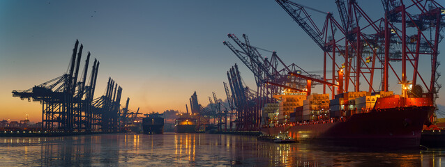 Wall Mural - Container terminal in the port of Hamburg in the morning in freezing temperatures 