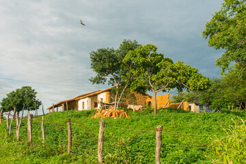 Wall Mural - Simple, unfinished farmhouse in the countryside of Oeiras, Piaui - Northeast Brazil