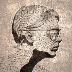 Wall Mural - head of the person from a 3d grid. human head wire model. 3d geometric face design. polygonal coveri