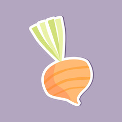 Sticker - Fresh beet on purple background vector