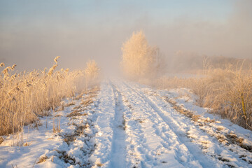 Wall Mural - The road leading dike between the lakes during the frosty, foggy sunrise