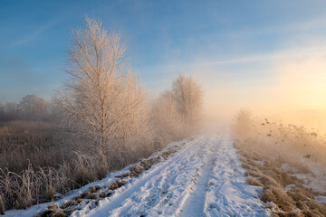 Wall Mural - The road leading dike between the lakes during the frosty, foggy sunrise